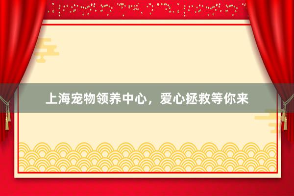 上海宠物领养中心，爱心拯救等你来