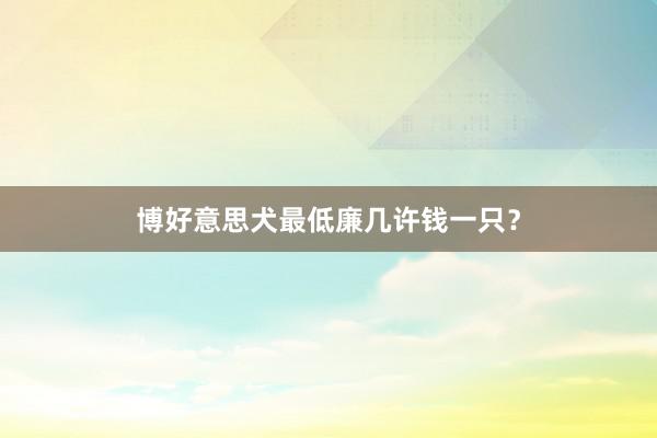 博好意思犬最低廉几许钱一只？